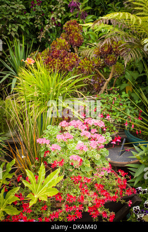 Attraktiven kleinen Garten in einem größeren Garten auf Sark UK Stockfoto