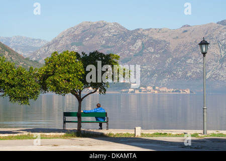 Montenegro, Adria-Küste, die Bucht von Kotor, Mann mit Blick auf den Fjord in Kotor Stockfoto