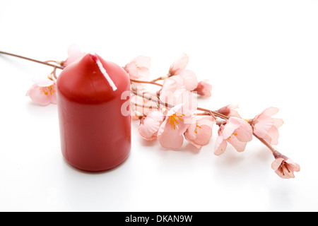 Rote Kerze mit blühender Zweig Stockfoto