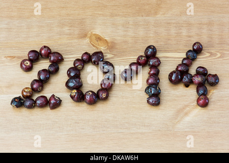 PF 2014 aus der Hagebutte hergestellt. Glückliches neues Jahr 2014. Stockfoto