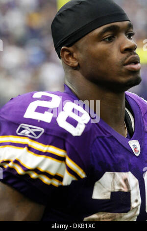 Sept. 25, geht auf das Feld für die zweite Jahreshälfte 2011 - Minneapolis, Minnesota, USA - Minnesota Vikings Runningback ADRIAN PETERSON. Die Detroit Lions schlagen die Minnesota Vikings 26-23. Die Löwen gewann ihr erstes Spiel in den Metrodome seit 1997 und haben jetzt einen 3: 0-Rekord. Die Wikinger blies einen zweistelligen Halbzeit Vorsprung für die dritte Woche in Folge. (Kredit-Bild: © Jeremy Breningsta Stockfoto