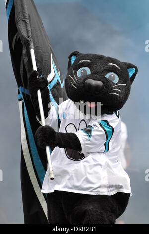 25. September 2011 - trägt Charlotte, North Carolina, USA - Carolina Panthers Maskottchen Sir schnurren die Flagge aus dem Tunnel. Panthers besiegen Jaguare 16-10 bei der Bank of America Stadium in Charlotte, North Carolina. (Kredit-Bild: © Anthony Barham/Southcreek Global/ZUMAPRESS.com) Stockfoto