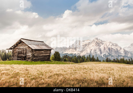 Kabine und Weizenfeld, Alta Badia Südtirol, Italien Stockfoto
