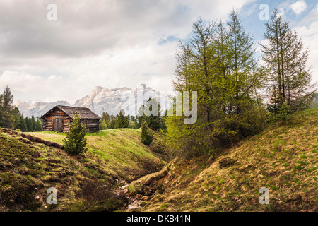 Kabine und Tanne Bäume, Alta Badia Südtirol, Italien Stockfoto