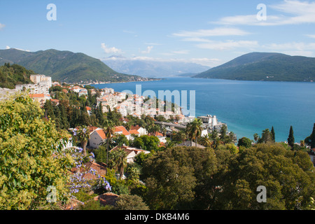 Montenegro, Herceg Novi, Ansicht von Herceg Novi und Kotor Bucht von Forte Mare Burg Stockfoto