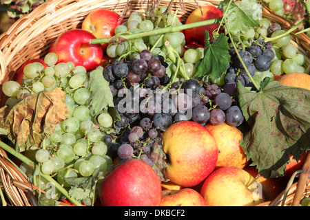 Äpfel und Trauben in einem Korb Stockfoto