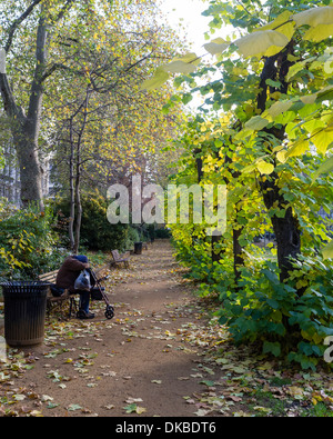 London, UK, 30.11.2013: Winter Sonne in Bloomsbury. . Bild von Julie Edwards Stockfoto