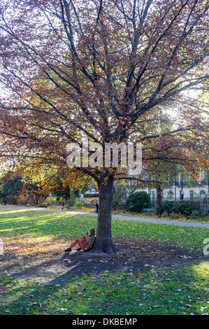 London, UK, 30.11.2013: Winter Sonne in Bloomsbury. . Bild von Julie Edwards Stockfoto