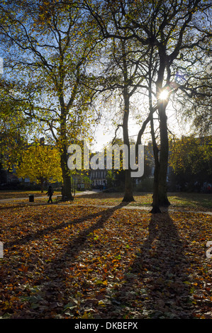 London, UK, 30.11.2013: Winter Sonne in Bloomsbury. . Bild von Julie Edwards Stockfoto