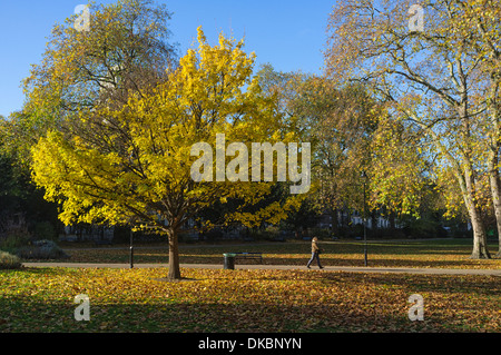 London, UK, 30.11.2013: Winter Sonne in Bloomsbury. . Bild von Julie Edwards Stockfoto