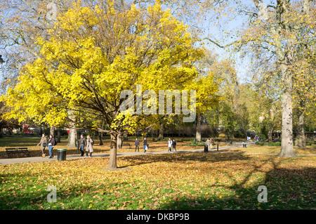 London, UK, 30.11.2013: Winter Sonne in Bloomsbury. . Bild von Julie Edwards Stockfoto