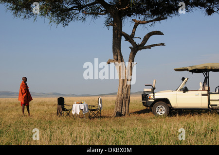 Bush Frühstück, Masai Mara National Reserve, Kenia, Ostafrika Stockfoto