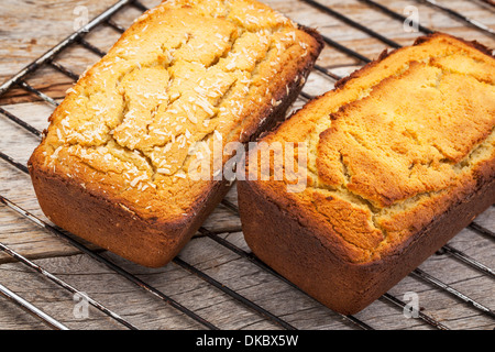 frisch gebackene zwei Mini Brote Gluten freie Kokos Mehl Brot auf einem Kuchengitter abkühlen Stockfoto