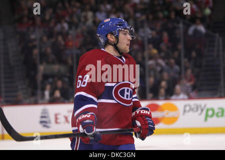 15. Oktober 2011 - Montreal, Quebec, Kanada - Montreal Canadiens Defenceman Yannick Weber (68) in die zweite Periode Aktion bei den Montréal Canadiens Spiel gegen die Colorado Avalanche im Centre Bell. Nach zwei Perioden führt Colorado 4-3. (Kredit-Bild: © Phillippe Champoux/Southcreek/ZUMAPRESS.com) Stockfoto