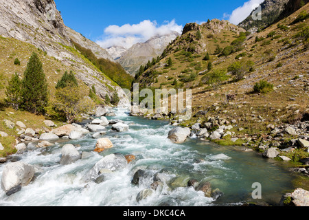 Rio-Ara, Nationalpark Ordesa und Monte Perdido, Huesca, Spanien, Europa. Stockfoto