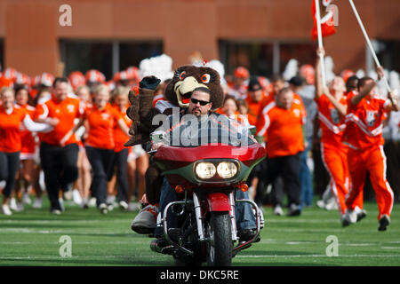 15. Oktober 2011 - führt Bowling Green, Ohio, USA - Bowling Green Maskottchen Frieda Falcon die Cheerleader und Football-Team auf das Spielfeld, Reiten auf dem Rücken eines Motorrads vor Beginn des Spiels.  Toledo Rockets, der Mid-American Conference West Division, besiegte die Bowling Green Falcons, der MAC East Division, 28-21 in der konstituierenden Spiel für die "Schlacht von i-75 '' Stockfoto