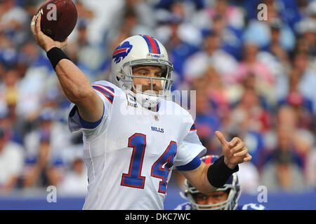 16. Oktober 2011 - East Rutherford, New Jersey, USA - Buffalo Bills quarterback Ryan Fitzpatrick (14) in nationale Fußball-Liga-Aktion bei Met Life-Stadion in East Rutherford New Jersey New York Niederlagen Buffalo 27 bis 24 zur Halbzeit (Credit-Bild: © Brooks Von Arx/Southcreek/ZUMAPRESS.com) Stockfoto