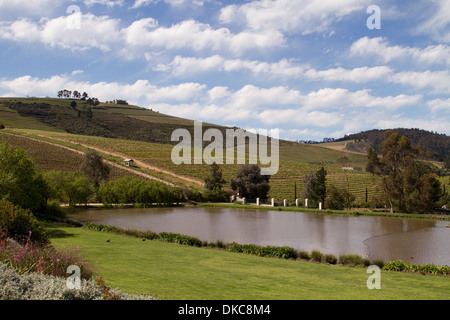 Blick vom Restaurant auf Jordanien Weingut in der Nähe von Stellenbosch in der Western Cape, Südafrika Stockfoto