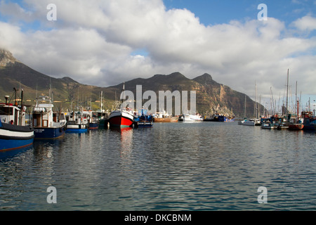 Angelboote/Fischerboote im Hafen von Hout Bay bei Kapstadt in der Western Cape, Südafrika Stockfoto