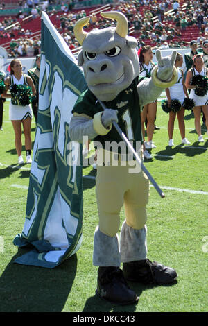 22. Oktober 2011 - Tampa, Florida, USA - South Florida Bulls Maskottchen '' Rocky'' vor dem Start der NCAA Football Spiel zwischen der South Floida Bulls und die Cincinnati Bearcats in Tampa, FL. (Credit-Bild: © Don Montague/Southcreek/ZUMAPRESS.com) Stockfoto