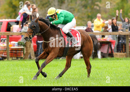 22. Oktober 2011 - gewinnt weit Hills, New Jersey, USA - Carl Rafter an Bord Lake Placid Foxbrook Champion Hurdle Jahrestagung 91. Far Hills Race in Far Hills, NJ am 22.10.11. Von Joseph Delozier ausgebildet (Bild Kredit: Ryan Lasek/Eclipse/ZUMAPRESS.com ©) Stockfoto