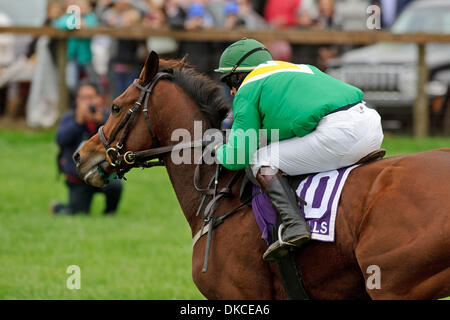 22. Oktober 2011 - gewinnt weit Hills, New Jersey, USA - Ross Geraghty an Bord der kaiserlichen Gin Harry E. Harris am 91. Far Hills Race Jahrestagung in Far Hills, NJ am 22.10.11. Von Joseph Delozier ausgebildet (Bild Kredit: Ryan Lasek/Eclipse/ZUMAPRESS.com ©) Stockfoto