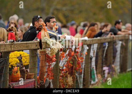 22. Oktober 2011 - weit Hills, New Jersey, Vereinigte Staaten - Hügel die 91. ordentliche weit Rennveranstaltung in Far Hills, NJ am 22.10.11. (Bild Kredit: Ryan Lasek/Eclipse/ZUMAPRESS.com ©) Stockfoto