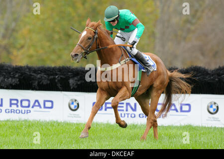 22. Oktober 2011 - weit Hills, New Jersey, Vereinigte Staaten - Paddy Young an Bord Wanganui gewinnt die Gladstone am 91. Far Hills Race Jahrestagung in Far Hills, NJ am 22.10.11. Trainiert von (Kredit-Bild: © Ryan Lasek/Eclipse/ZUMAPRESS.com) Stockfoto