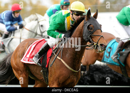 22. Oktober 2011 - gewinnt weit Hills, New Jersey, USA - Carl Rafter an Bord Lake Placid Foxbrook Champion Hurdle Jahrestagung 91. Far Hills Race in Far Hills, NJ am 22.10.11. Von Joseph Delozier ausgebildet (Bild Kredit: Ryan Lasek/Eclipse/ZUMAPRESS.com ©) Stockfoto