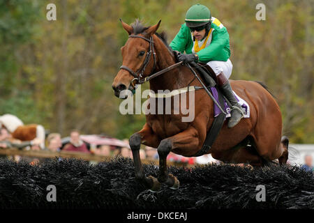 22. Oktober 2011 - gewinnt weit Hills, New Jersey, USA - Ross Geraghty an Bord der kaiserlichen Gin Harry E. Harris am 91. Far Hills Race Jahrestagung in Far Hills, NJ am 22.10.11. Von Joseph Delozier ausgebildet (Bild Kredit: Ryan Lasek/Eclipse/ZUMAPRESS.com ©) Stockfoto