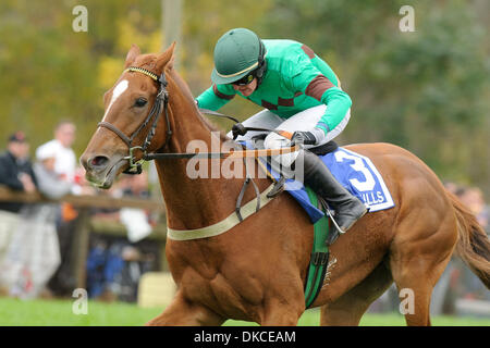 22. Oktober 2011 - weit Hills, New Jersey, Vereinigte Staaten - Paddy Young an Bord Wanganui gewinnt die Gladstone am 91. Far Hills Race Jahrestagung in Far Hills, NJ am 22.10.11. Trainiert von (Kredit-Bild: © Ryan Lasek/Eclipse/ZUMAPRESS.com) Stockfoto