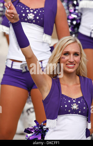 22. Oktober 2011 - Fort Worth, Texas, USA - TCU Horned Frogs Cheerleader während Aktion zwischen New Mexico Lobos und TCU Horned Frogs durchführen.  TCU Niederlagen bei Amon G. Carter Stadium New Mexico 69-0. (Kredit-Bild: © Andrew Dieb/Southcreek/ZUMAPRESS.com) Stockfoto