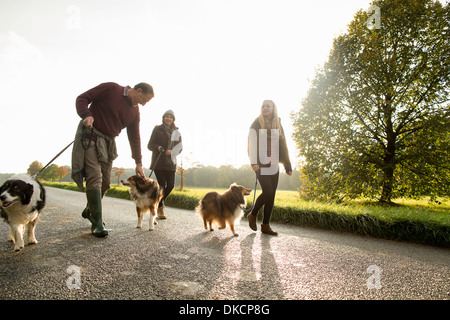 Älteres Paar und Enkelin mit Hunden, Norfolk, Großbritannien Stockfoto