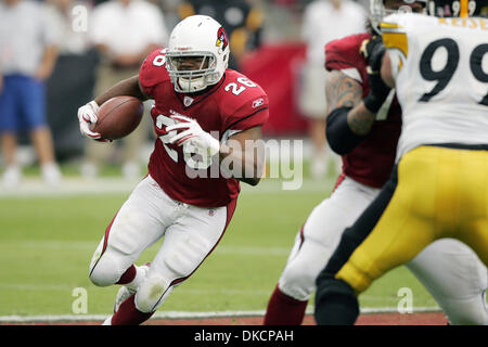 24. Oktober 2011 - Chandler, Arizona, USA - Arizona Cardinals Runningback Beanie Wells (26) läuft nach unten Feld in einem NFL-Spiel gegen die Pittsburgh Steelers im University of Phoenix Stadium in Chandler, AZ (Credit-Bild: © Gene Lower/Southcreek/ZUMAPRESS.com) Stockfoto