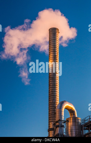 Seattle Dampf Co. Rohre und Schornstein oben auf ihrem Gebäude an der Waterfront Seattle, Washington State, USA Stockfoto