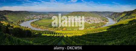 Biegen Sie in den Fluss Mosel mit den Dörfern Leiwen und Trittenheim, Westdeutschland. Stockfoto