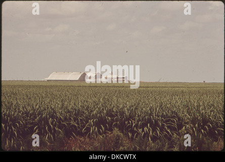 Eine Zuckermühle in der Nähe des Lake Okeechobee ist abgebildet. Dieses Werk ist Teil der Zuckerindustrie in Florida und trägt zur Agrarwirtschaft der Region bei. Stockfoto