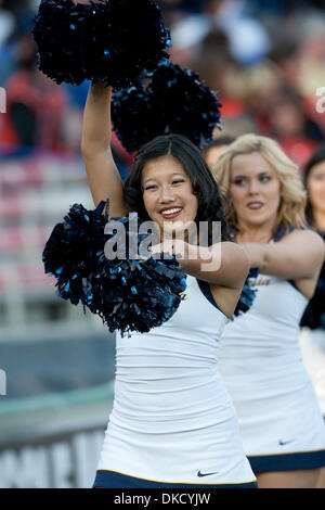 29. Oktober 2011 - Pasadena, Kalifornien, USA - Cal Cheerleader führen während der NCAA Football-Spiel zwischen die California Golden Bears und den UCLA Bruins in der Rose Bowl. Die Bruins fuhr fort, um den Goldenen Bären mit einer abschließenden 31-14 zu besiegen. (Bild Kredit: Brandon Parry/Southcreek/ZUMAPRESS.com ©) Stockfoto