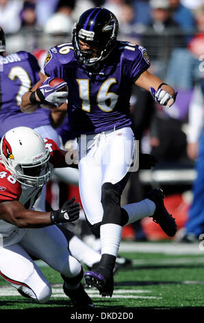 30. Oktober 2011 - Baltimore, Maryland, USA - Baltimore Ravens Wide Receiver David Reed (16) einer Kick-off während der ersten Hälfte eines NFL-Spiel zwischen den Baltimore Ravens und die Arizona Cardinals gibt (Credit-Bild: © TJ Root/Southcreek/ZUMApress.com) Stockfoto