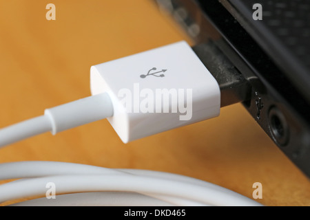 USB-Kabel an den Computer angeschlossen Stockfoto