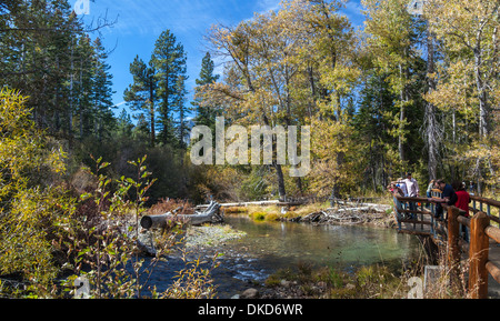 Besucher auf Brücke suchen Sie laichen Kokanee Lachs in Taylor Creek Lake Tahoe Stockfoto