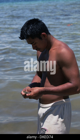 Polynesien Mann Reinigung der Muscheln Stockfoto