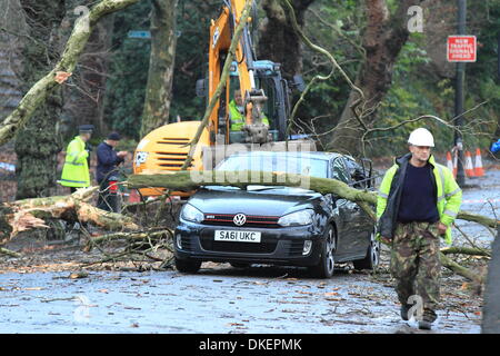 Glasgow, Schottland. 5. Dezember 2013. Umgestürzten Baum zermalmt VW Golf, wie es durch fährt. Notdienste in Anwesenheit clearing-Baum und Schutt. Paul Stewart/Alamy News Stockfoto