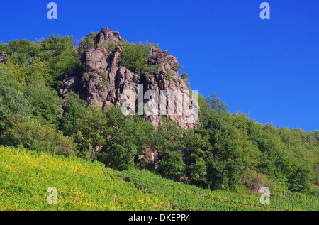 Wachau Weinberg - Wachau Weinberg 11 Stockfoto