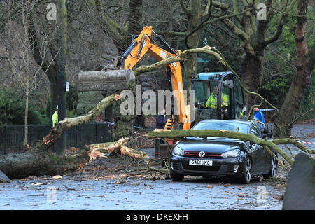 Glasgow, Schottland. 5. Dezember 2013. Umgestürzten Baum zermalmt VW Golf, wie es durch fährt. Notdienste in Anwesenheit clearing-Baum und Schutt. Paul Stewart/Alamy News Stockfoto