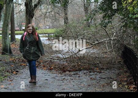 Glasgow, Schottland. 5. Dezember 2013. Umgestürzten Baum zermalmt VW Golf, wie es durch fährt. Notdienste in Anwesenheit clearing-Baum und Schutt. Paul Stewart/Alamy News Stockfoto