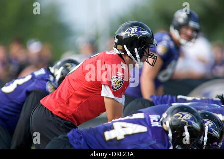 11. August 2009: Baltimore Ravens Quarterback Joe Flacco während der Baltimore Ravens 2009 Trainingslager am Mc Daniels College in Westminster, Maryland (Credit-Bild: © Southcreek Global/ZUMApress.com) Stockfoto