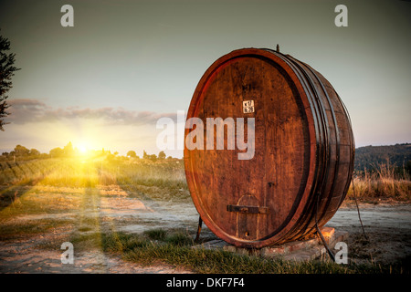 Chianti in hölzernen Bottich, Siena, Valle Orcia, Toskana, Italien Stockfoto