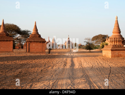 Aus rotem Backstein Tempel inmitten der staubigen Ebenen von Bagan Myanmar (Burma) bei Sonnenuntergang Stockfoto