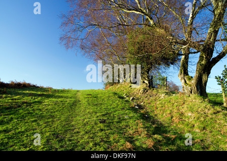 Rhymney Valley Ridgway Wanderweg in der Nähe von Maesycymmer, Gwent, South Wales Valleys. Stockfoto